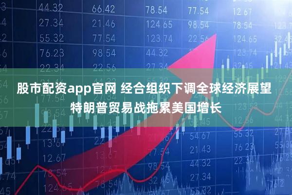 股市配资app官网 经合组织下调全球经济展望 特朗普贸易战拖累美国增长
