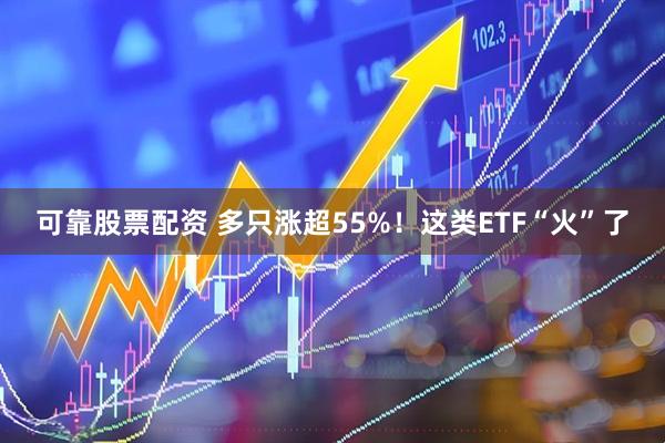 可靠股票配资 多只涨超55%！这类ETF“火”了