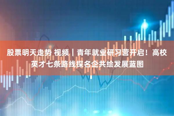 股票明天走势 视频｜青年就业研习营开启！高校英才七条路线探名企共绘发展蓝图