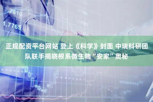 正规配资平台网站 登上《科学》封面 中瑞科研团队联手揭晓根系微生物“安家”奥秘