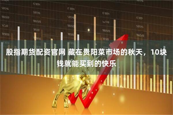 股指期货配资官网 藏在贵阳菜市场的秋天,10块钱就能买到的快乐