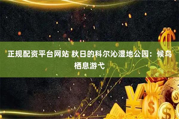 正规配资平台网站 秋日的科尔沁湿地公园:候鸟栖息游弋