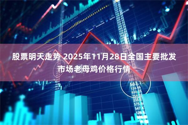 股票明天走势 2025年11月28日全国主要批发市场老母鸡价格行情